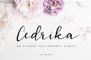 Cedrika Font: A Script Amp Typeface for Beautiful, Readable Crafts