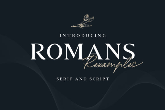 How Romans Rexamples Duo Elevates Brand Design Projects