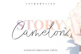 Story Camelon: A Beautiful Script Font for Web Designers